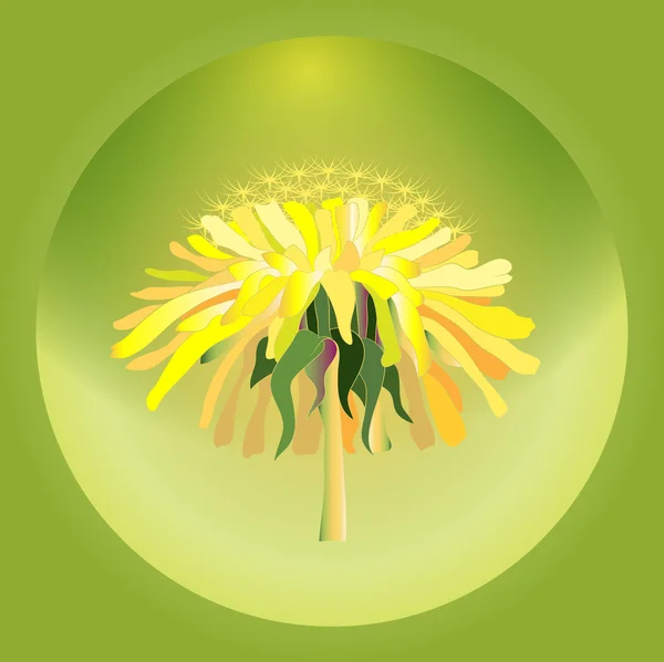Vector illustration with dandelion. — Stock Vector