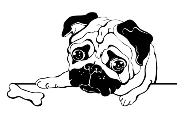 Black pug imágenes de stock de arte vectorial | Depositphotos