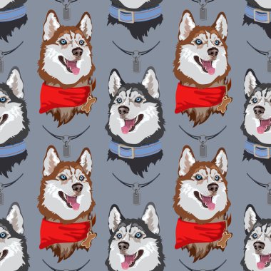 Köpek cinsi Husky kusursuz desen. Vektör düz resimleme.
