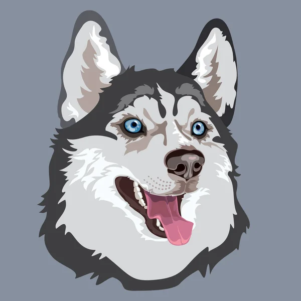 Köpek cinsi Husky. Hayvan portresi. Vektör düz resimleme.
