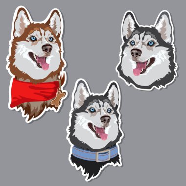 Köpek cinsi Husky çıkartması. Hayvan bakıcısı. Vektör.