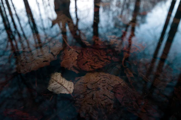 2015 su yüzeyinde çizik
