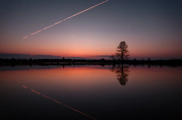 2015 satırının o tarafta Paralel gerçeklik