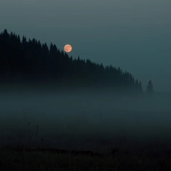 La luna llena 2015 —  Fotos de Stock