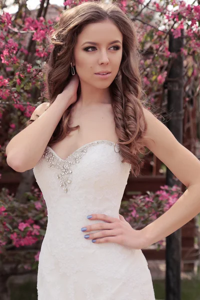 Hermosa novia en vestido de novia —  Fotos de Stock