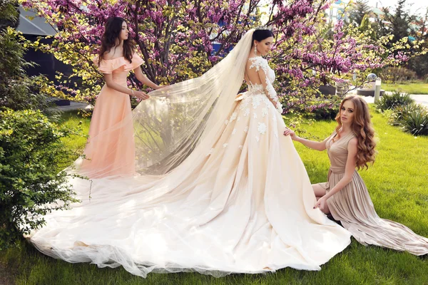 Gorgeous bride with beautiful bridesmaids — Stock Photo, Image