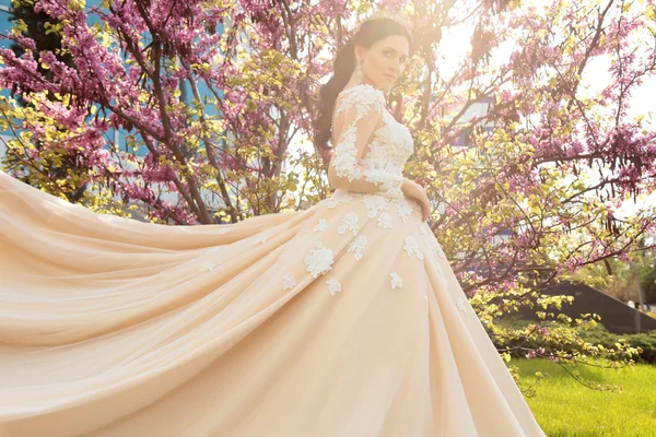 Novia hermosa en vestido de novia de lujo —  Fotos de Stock