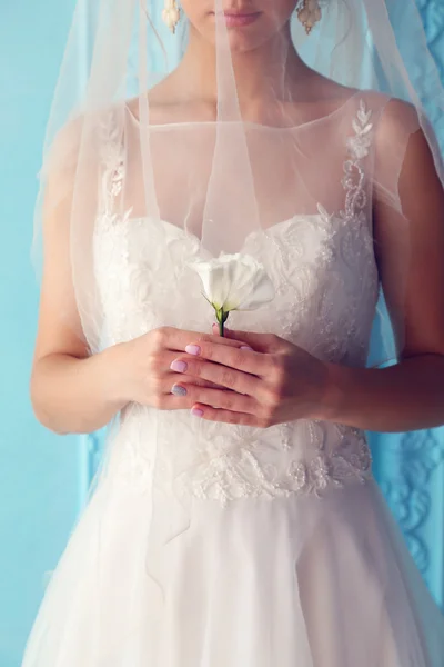Bela noiva jovem em vestido de noiva — Fotografia de Stock