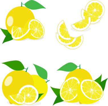 Ayarla limon, limon, limon dilimleri çizimler vektör