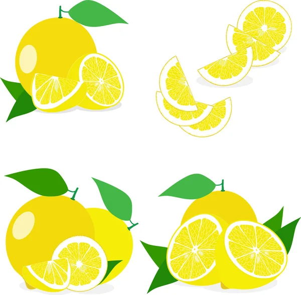 Ayarla limon, limon, limon dilimleri çizimler vektör — Stok Vektör