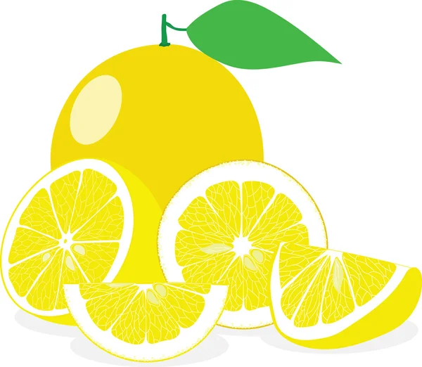 Limão, fatias de limão, conjunto de limões, ilustrações vetoriais — Vetor de Stock