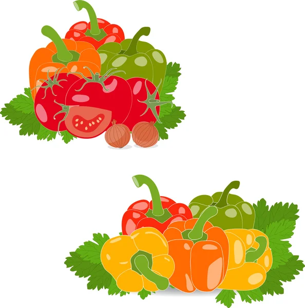 Conjunto de tomate, pimienta, pimentón, cebolla, chile, hojas de perejil — Vector de stock