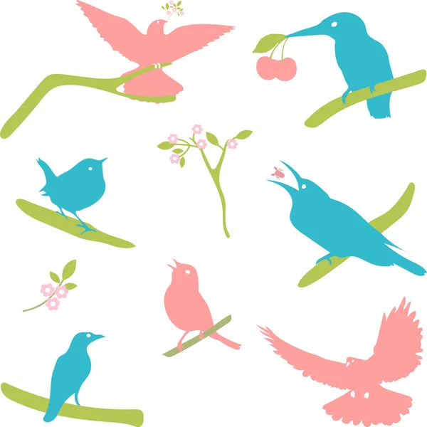 Colección vectorial de siluetas de aves, siluetas de colores . — Vector de stock