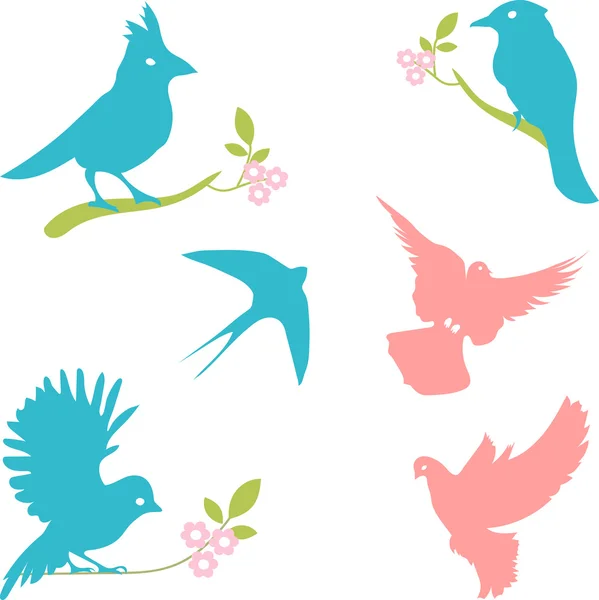 Colección vectorial de siluetas de aves, siluetas de colores . — Vector de stock