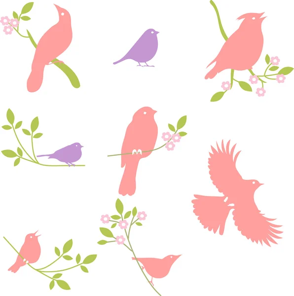 Colección vectorial de siluetas de aves — Vector de stock