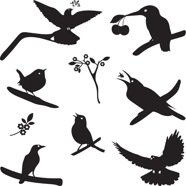 Colección vectorial de siluetas de aves — Vector de stock