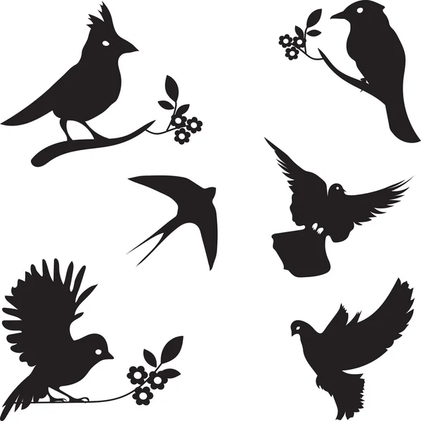 Colección vectorial de siluetas de aves — Vector de stock