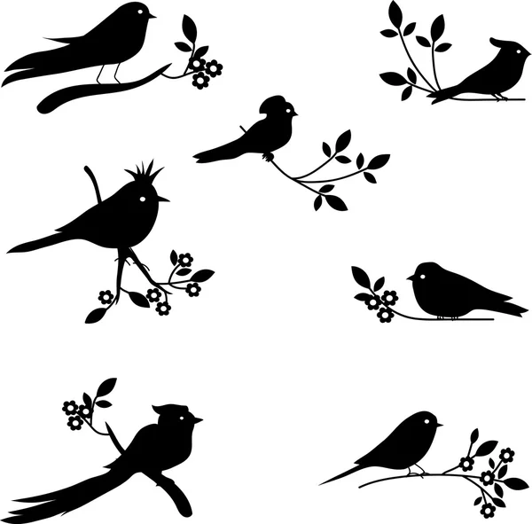 Colección vectorial de siluetas de aves — Vector de stock