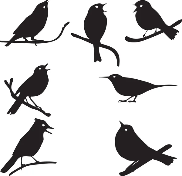 Siluetas de aves, pájaro en rama, colección de vectores — Vector de stock