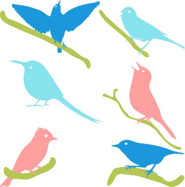 Siluetler renkli Kuş Silhouettes. 
