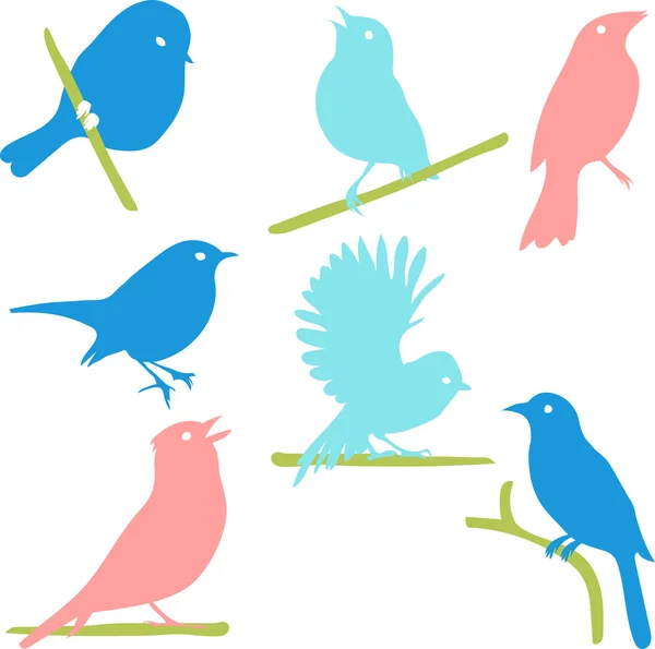 Ptačí siluety, barevné siluety. — Stockový vektor