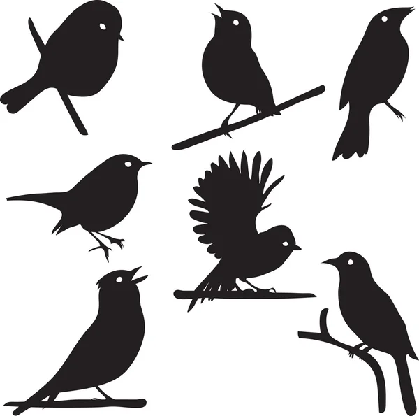 Siluetas de pájaro, pájaro en rama — Vector de stock