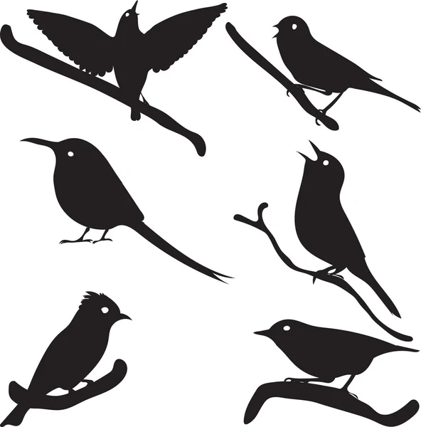 Fågel silhuetter, fågel på gren — Stock vektor