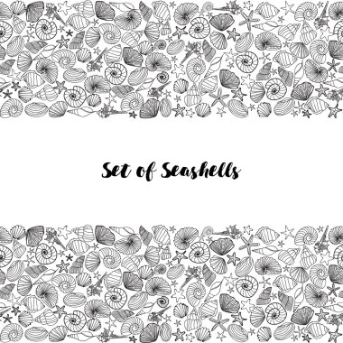 Sea shell and starfish. Drawn in line. clipart