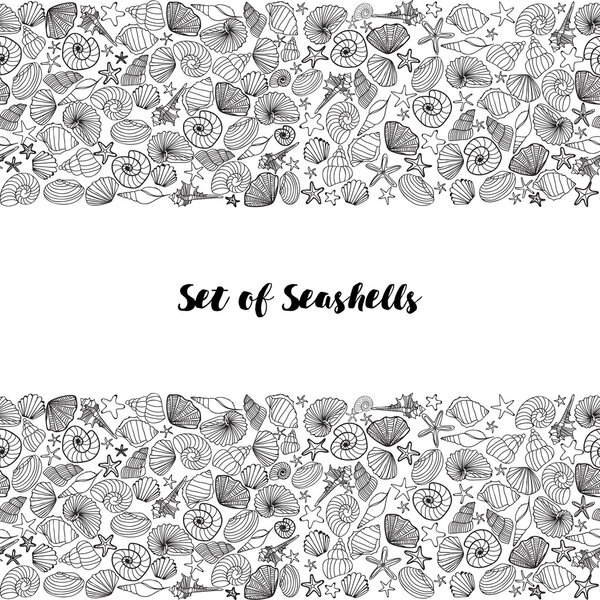 Морская раковина и морская звезда. Вытянутая в линию
.