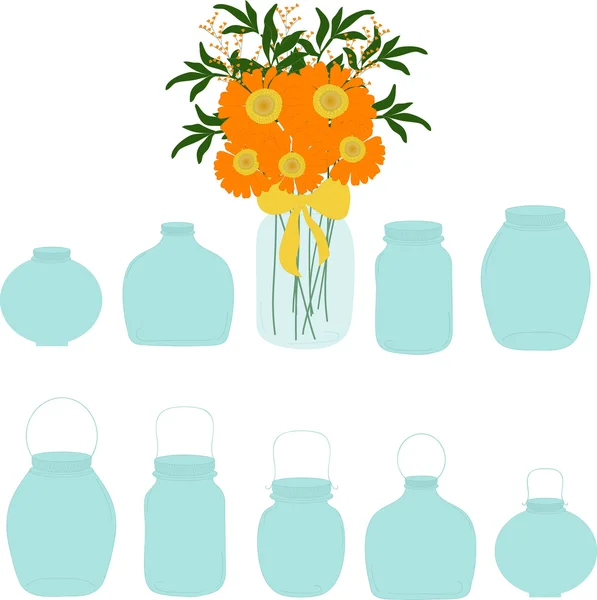 Conjunto de frascos, ramo de herberas en frasco, ilustración vectorial — Archivo Imágenes Vectoriales