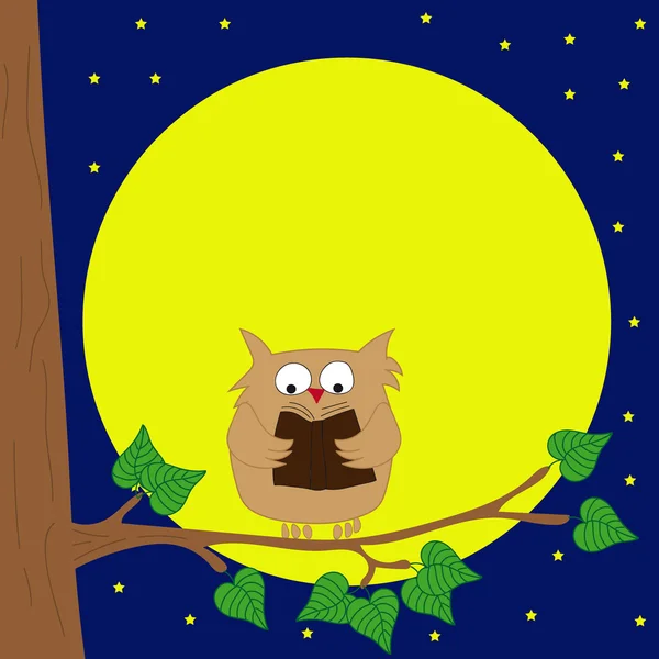 Hibou assis sur un livre de lecture de branche au clair de lune . — Image vectorielle