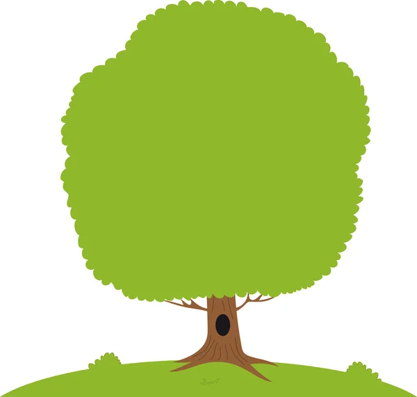 Зеленое дерево на лугу — стоковый вектор