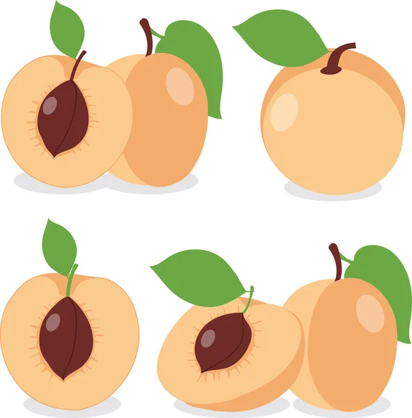 Abricot. Set abricots, morceaux et tranches — Image vectorielle
