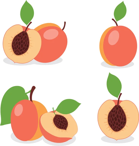 Perzik. Perziken, stukken en segmenten instellen — Stockvector