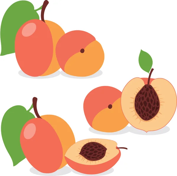 Peach. Set peaches, pieces and slices — Stock Vector © catiivanoffmail