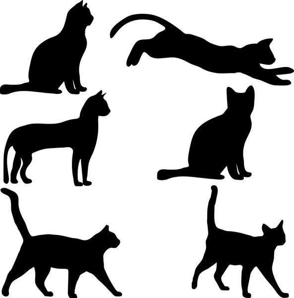 kedi koleksiyonu - siluet vektör