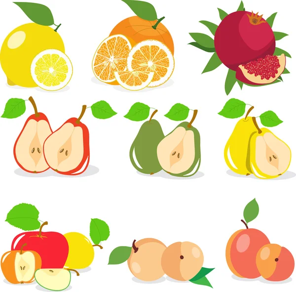 Früchteset, Zitrone, Apfel, Orange, Granatapfel, Birne, Aprikose, Pfirsich, Vektorillustration. — Stockvektor