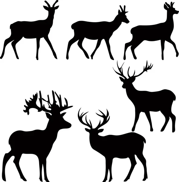 Deer and roe silhouettes on the white background — Stock Vector