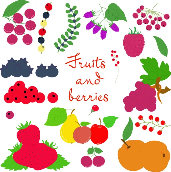 Frutas e bagas — Vetor de Stock