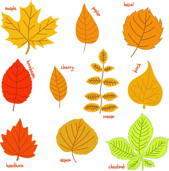 El otoño se va con sus nombres — Archivo Imágenes Vectoriales