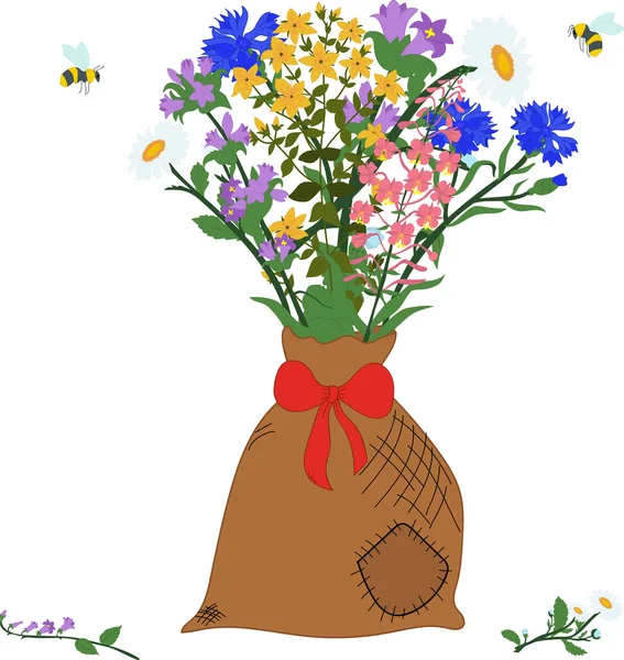 La bolsa con hierbas - manzanilla, angustifolium, aciano, campanula, hypericum y abejas — Archivo Imágenes Vectoriales