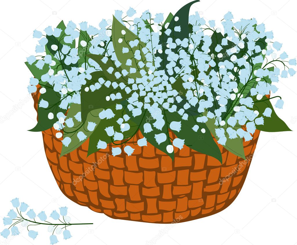 basket of flowering lilies with transparent background