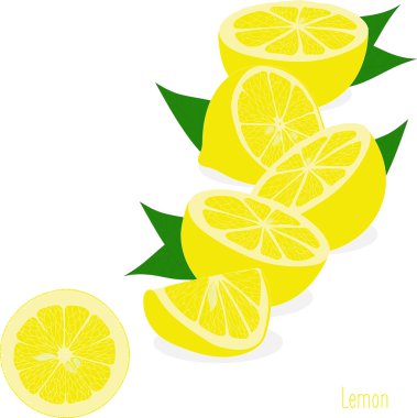 Limon dilimleri, şeffaf bir arka plan üzerinde vektör çizimler topluluğu