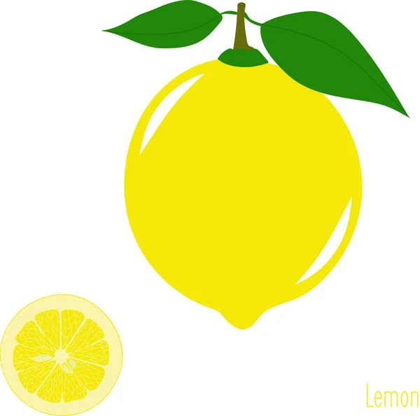 Tranches de citron, collection d'illustrations vectorielles sur fond transparent — Image vectorielle