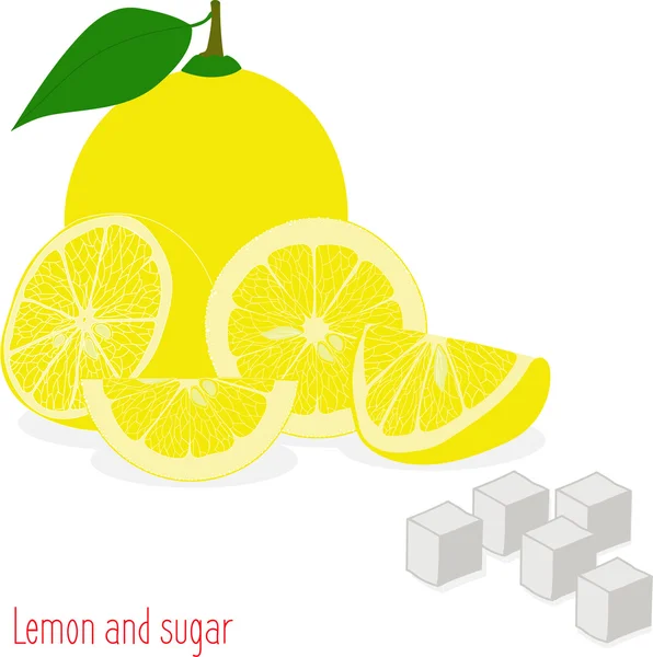Fatias de limão, coleção de ilustrações vetoriais em um fundo transparente — Vetor de Stock