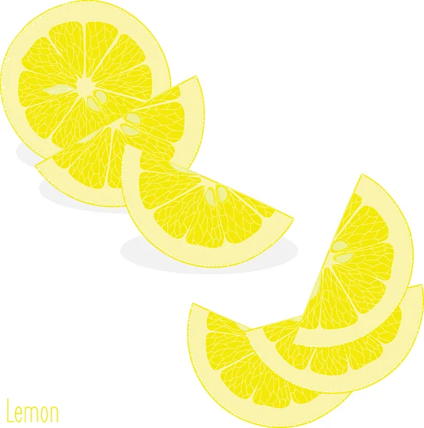 Lemon slices, collection of vector illustrations on a transparent background — Stock Vector