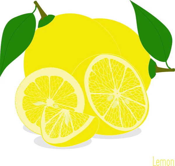 Irisan lemon, koleksi ilustrasi vektor pada latar belakang transparan - Stok Vektor