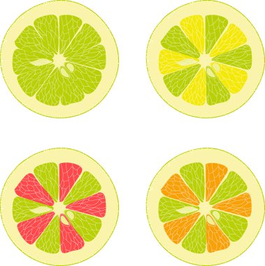 Limon, limon, portakal, Pembe greyfurt, şeffaf bir arka plan üzerinde vektör çizimler pomelo koleksiyonu