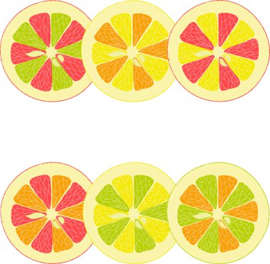 Limon, limon, portakal, Pembe greyfurt, şeffaf bir arka plan üzerinde vektör çizimler pomelo koleksiyonu
