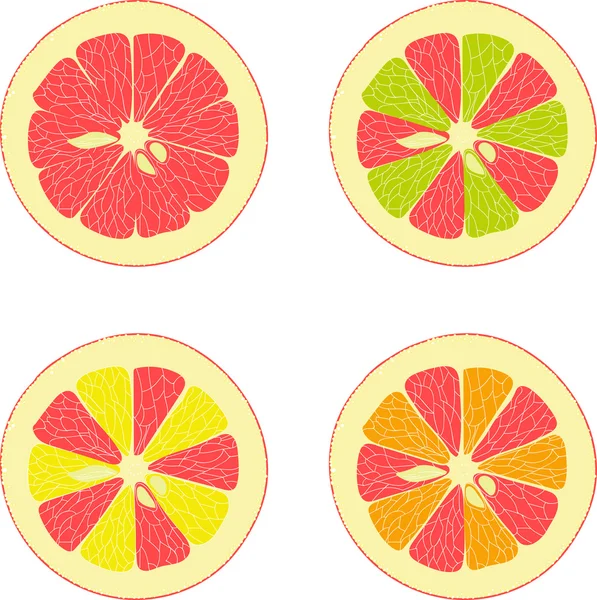 Citroen, limoen, oranje, roze pompelmoes, pomelo verzameling van vectorillustraties op een transparante achtergrond — Stockvector